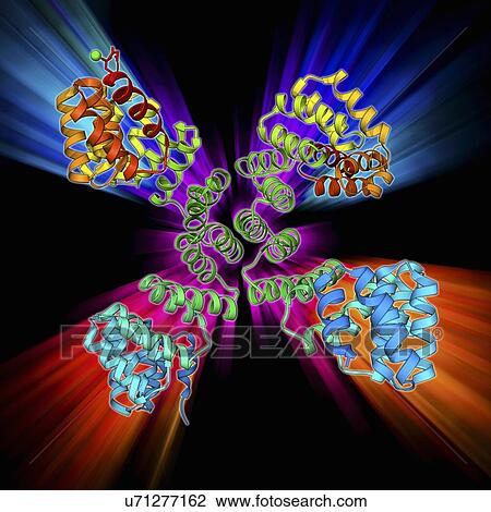 Glycosylation enzyme molecule View Large Illustration Drawing - Glycosylation enzyme molecule. Fotosearch