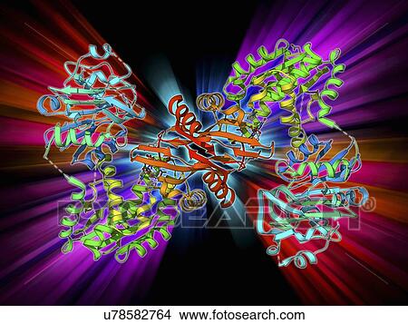 Stock Illustration - GMP synthetase enzyme. Fotosearch