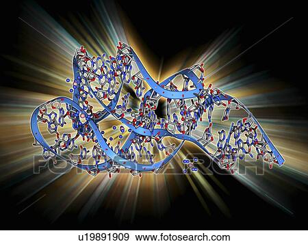 Guanine-responsive riboswitch View Large Illustration Stock Illustration - Guanine-responsive riboswitch. Fotosearch