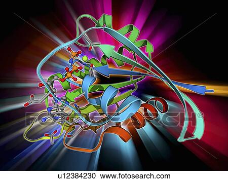 H-Ras p21 oncogene protein View Large Illustration Clipart - H-Ras p21 oncogene protein. Fotosearch