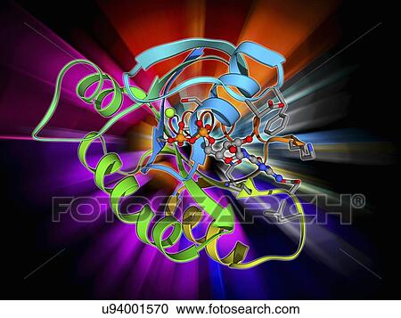 Clipart - H-Ras p21 oncogene protein. Fotosearch
