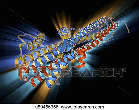 Stock Illustration - Haemagglutinin protein subunit. Fotosearch