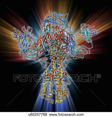 Stock Illustration - Haemagglutinin viral surface protein. Fotosearch