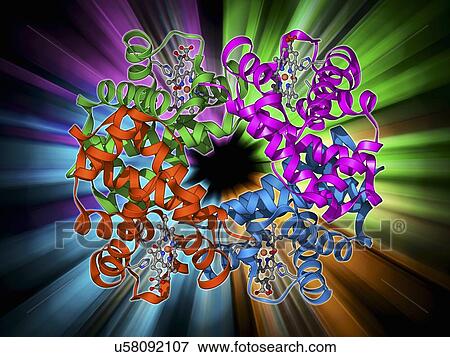 Haemoglobin molecule View Large Illustration Stock Illustration - Haemoglobin molecule. Fotosearch
