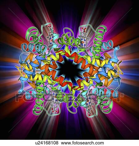Haemoglobin S, molecular model View Large Illustration Stock Illustration - Haemoglobin S, molecular model. Fotosearch