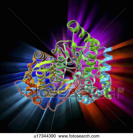 Hepatitis C polymerase enzyme View Large Illustration Clipart - Hepatitis C polymerase enzyme. Fotosearch