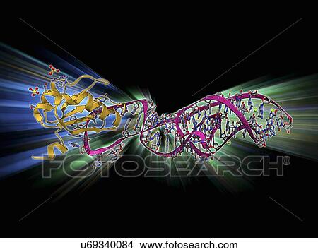 Hepatitis D virus ribozyme complex View Large Illustration Stock Illustration - Hepatitis D virus ribozyme complex. Fotosearch