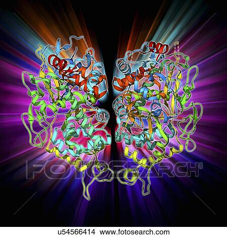 Herpesvirus capsid protein View Large Illustration Stock Illustration - Herpesvirus capsid protein. Fotosearch