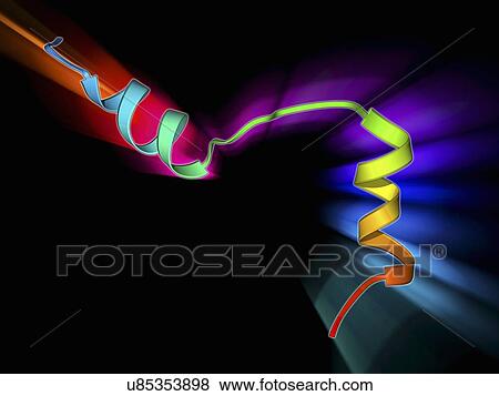Herpesvirus immune inhibitor protein View Large Illustration Stock Illustration - Herpesvirus immune inhibitor protein. Fotosearch