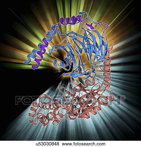 Stock Illustration - Heterotrimeric G protein complex molecule. Fotosearch