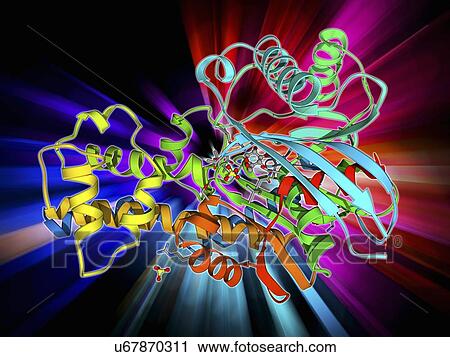 Clip Art - Hexokinase and glucose complex. Fotosearch
