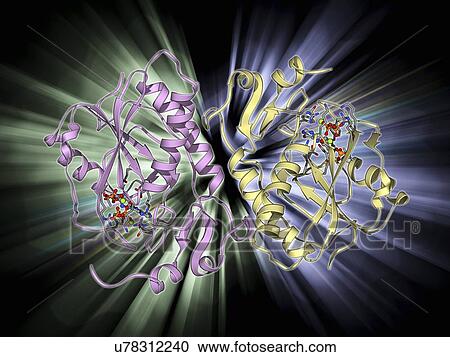 HGPRTase molecule View Large Illustration Clipart - HGPRTase molecule. Fotosearch