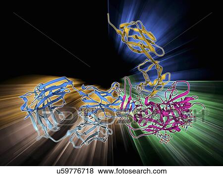 Stock Illustration - HIV antibody therapy, molecular model. Fotosearch
