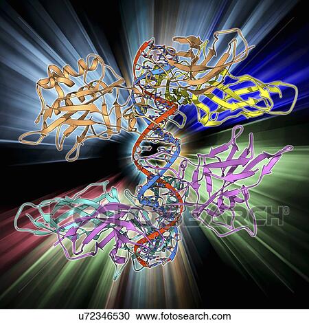 Clipart - HIV DNA and transcription factor. Fotosearch