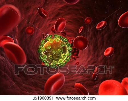 Clip Art - HIV infection, artwork. Fotosearch