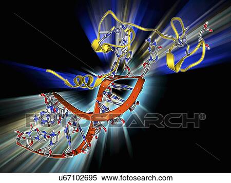 HIV nucleocapsid protein molecule View Large Illustration Stock Illustration - HIV nucleocapsid protein molecule. Fotosearch