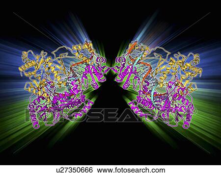 HIV reverse transcription enzyme View Large Illustration Stock Illustration - HIV reverse transcription enzyme. Fotosearch
