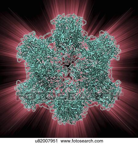 HPV L1 surface protein View Large Illustration Clip Art - HPV L1 surface protein. Fotosearch