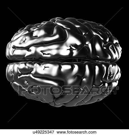 Stock Illustration - Human brain, artwork. Fotosearch