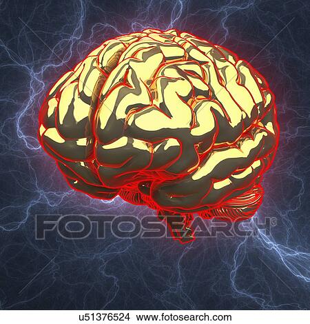Stock Illustration - Human brain, artwork. Fotosearch