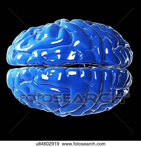 Human brain, artwork View Large Illustration Stock Illustration - Human brain, artwork. Fotosearch