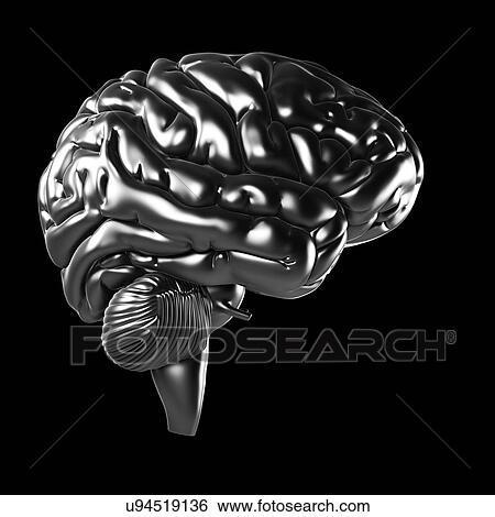 Stock Illustration - Human brain, artwork. Fotosearch