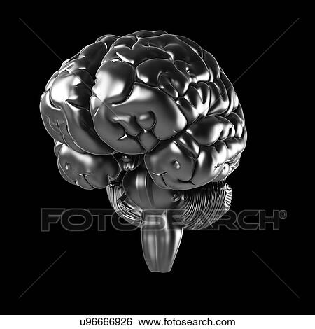 Human brain, artwork View Large Illustration Stock Illustration - Human brain, artwork. Fotosearch