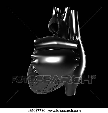 Human heart, artwork View Large Illustration Clipart - Human heart, artwork. Fotosearch