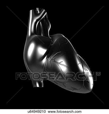 Human heart, artwork View Large Illustration Clipart - Human heart, artwork. Fotosearch