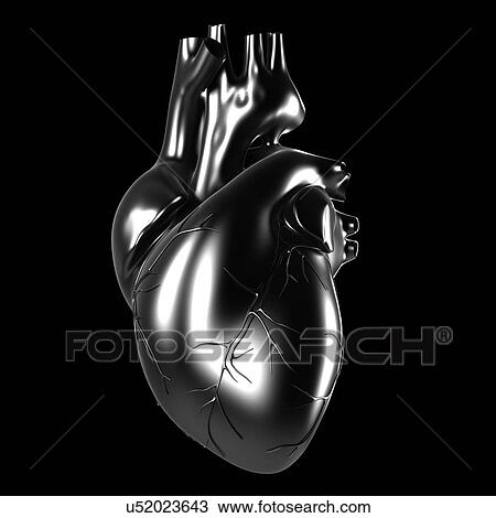 Drawing - Human heart, artwork. Fotosearch