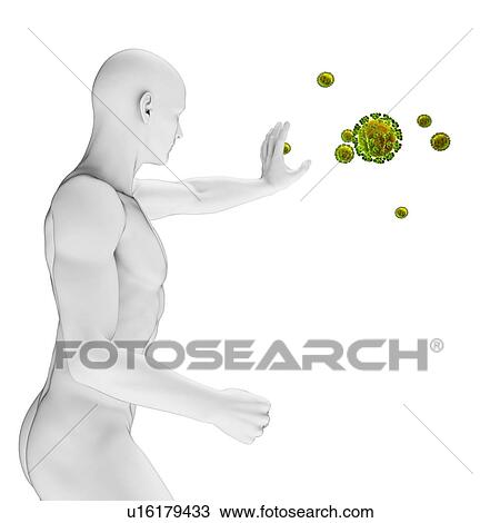 Drawing - Human immune system, artwork. Fotosearch