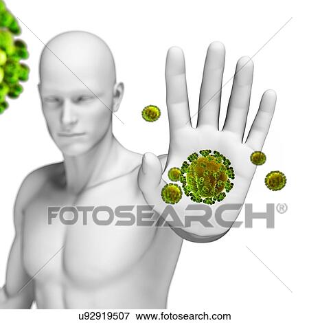 Stock Illustration - Human immune system, artwork. Fotosearch