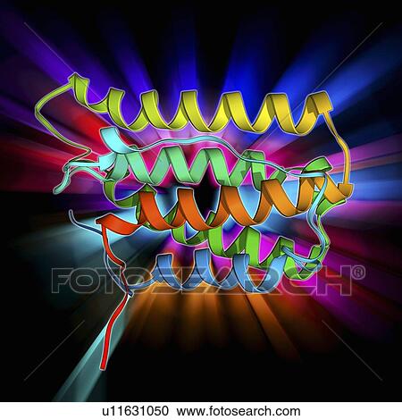 Clipart - Human interferon alpha molecule. Fotosearch