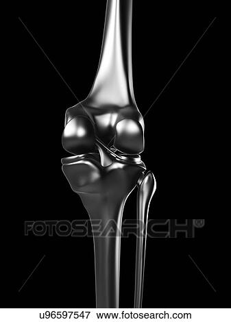 Stock Illustration - Human knee joint, artwork. Fotosearch