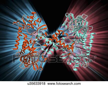 Human lysine-specific demethylase View Large Illustration Stock Illustration - Human lysine-specific demethylase. Fotosearch
