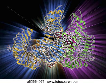 Stock Illustration - Human pathogen recognition molecule. Fotosearch