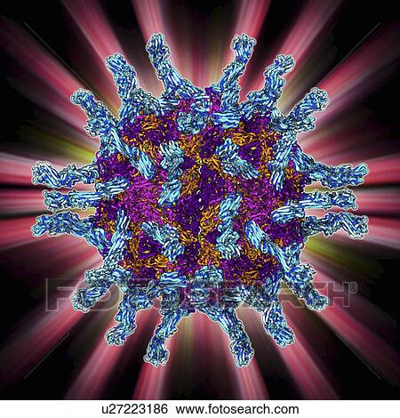 Stock Illustration - Human poliovirus, molecular model. Fotosearch