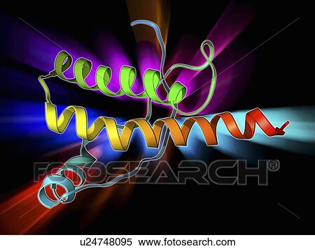 Human prion precursor protein View Large Illustration Stock Illustration - Human prion precursor protein. Fotosearch