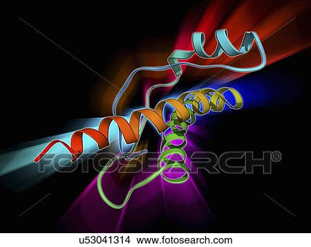 Stock Illustration - Human prion protein, molecular model. Fotosearch