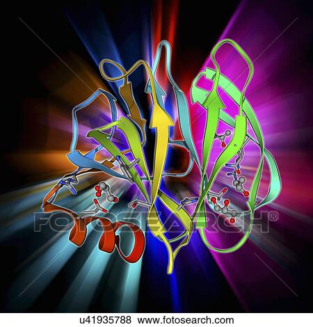 Stock Illustration - Human rotavirus capsid protein molecule. Fotosearch