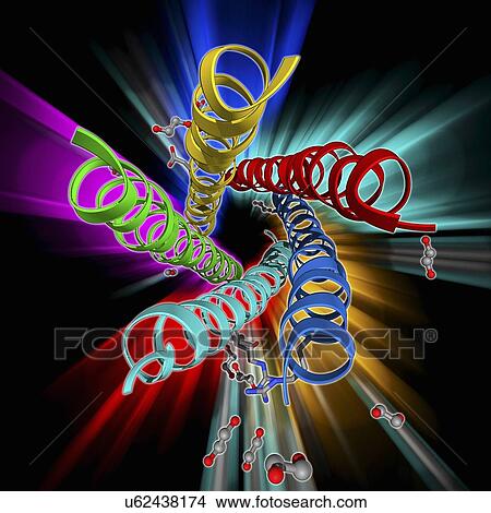 Stock Illustration - Human rotavirus enterotoxin. Fotosearch