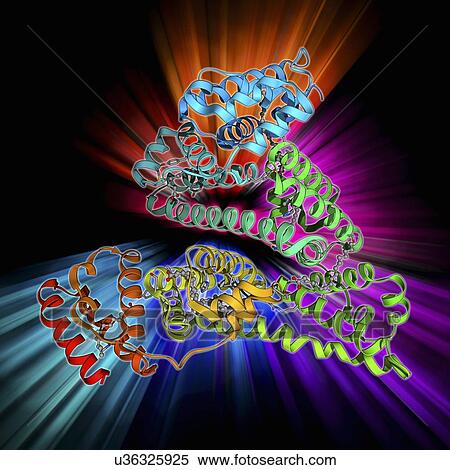 Stock Illustration - Human serum albumin molecule. Fotosearch