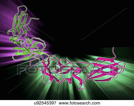 Stock Illustration - Human tissue factor molecule. Fotosearch