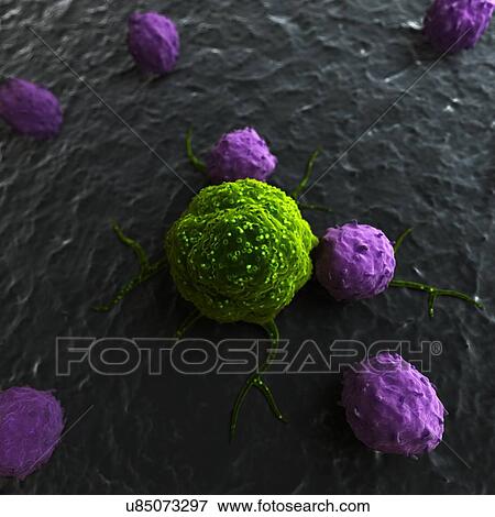 Stock Illustration - Immune response to cancer, artwork. Fotosearch