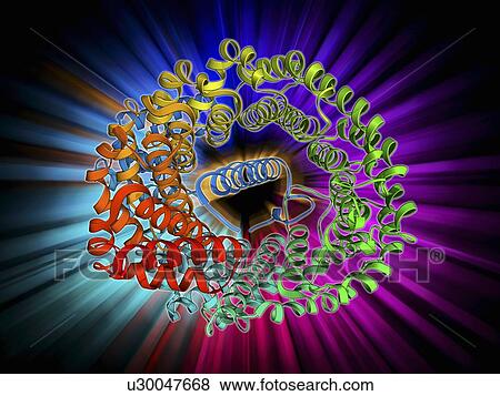 Importin heterodimer protein View Large Illustration Stock Illustration - Importin heterodimer protein. Fotosearch