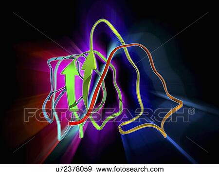 Insect antifreeze protein View Large Illustration Stock Illustration - Insect antifreeze protein. Fotosearch