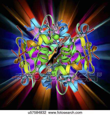Drawing - Insulin molecule. Fotosearch