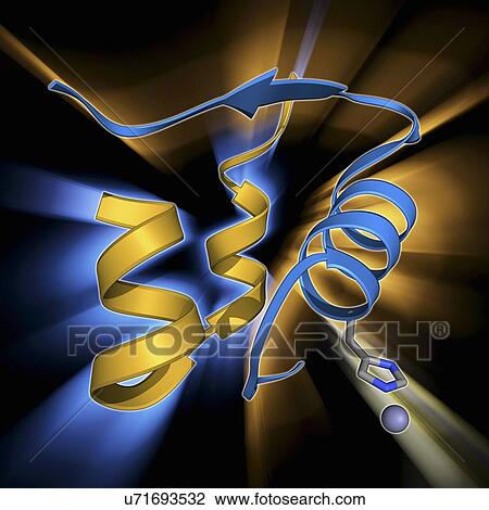 Drawing - Insulin molecule. Fotosearch