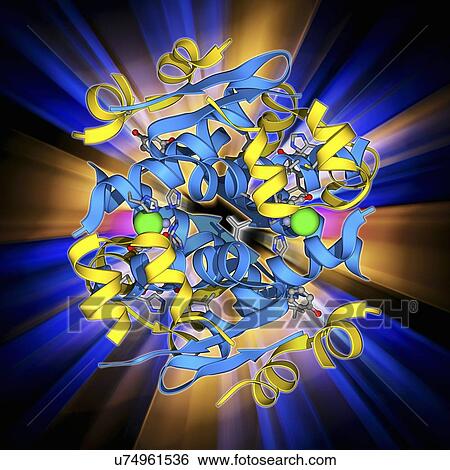 Insulin molecule View Large Illustration Stock Illustration - Insulin molecule. Fotosearch