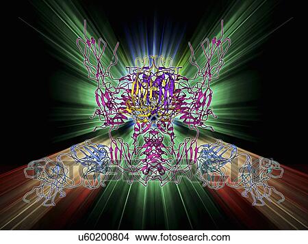 Insulin receptor molecule View Large Illustration Stock Illustration - Insulin receptor molecule. Fotosearch